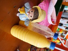 -Jonah's Fruit Shake & Snack Bar