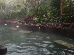 -苏州湾王焰温泉度假酒店