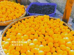 -召稼楼古镇