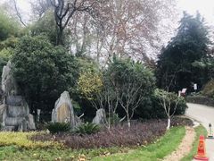 -菊花台公园
