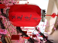 iphone_upload_pic-田园东方蜜桃村的田野营地