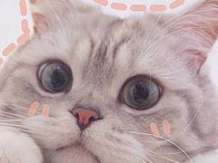 -椰爺爺·椰子冻砵仔糕