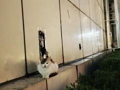 -复旦大学附属华山医院(总院)