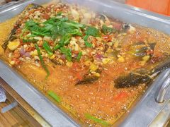 -黑猫馋纸包鱼(阳光店)