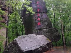 -汤旺河林海奇石景区