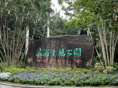 -深圳湾公园(南山区)