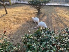 -无锡动物园·太湖欢乐园