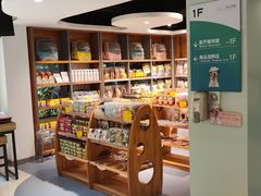 -奈斯宠物医院·核磁CT·异宠专科·内镜(中南店)
