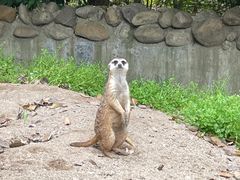 -上海野生动物园
