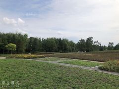 -同里国家湿地公园