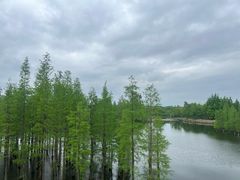 -三圣花乡旅游区