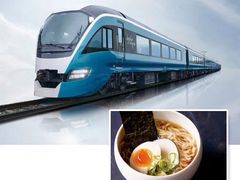 -伊豆观海列车
