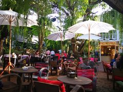 -Fern Forest Cafe