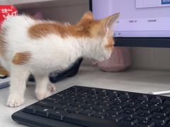 -博特宠物医院24h犬猫全科.骨科·异宠