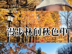-白水寺森林公园