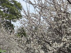-广州市白云山风景名胜区