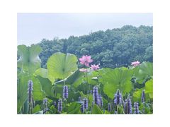 -东湖生态旅游风景区