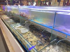 -四海蒸鲜蒸汽海鲜自助(北戴河店)