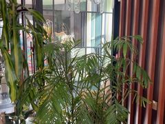 -风渡嘉荷西餐厅 Windy City(西三旗金隅店)