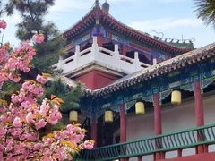 -中国翰园碑林