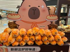 -首开·龙湖成都西宸天街