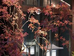 -椿杨樘·明康泡浴养生馆(重庆店)