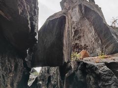 -玉石林风景区