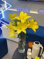 -JY·VALMONT法儿曼官方面护·海菲秀黑钻体验中心