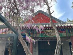 -北京市劳动人民文化宫(太庙)