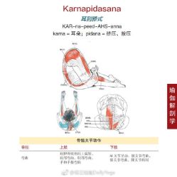 -亦美瑜伽·普拉提