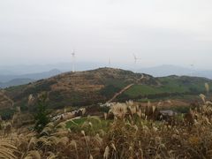 -东白山