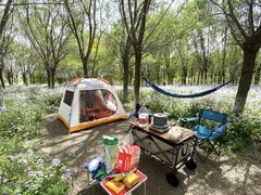 -天津武清北运河郊野公园房车露营地