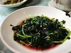 -新聚丰菜馆(太监弄店)