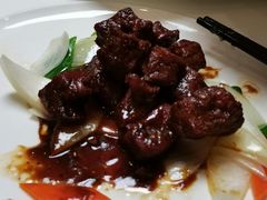 -碧丽宫大酒店(召稼楼店)