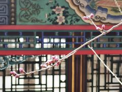 -颐和园