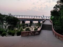 -宝安西湾红树林湿地公园