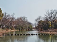 -梁鸿国家湿地公园