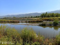 -河东池盐文化博览园