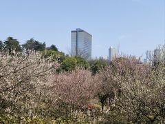 -南京古林公园