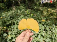 -趵突泉景区