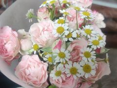 -老屋印象川菜(马园路店)