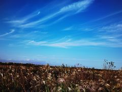 -春花秋色城市公园