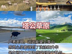 -王婆婆老妈蹄花川菜馆·非物质文化遗产(太古里一店)
