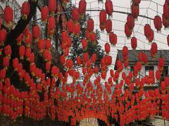 -巴倒烫陆派火锅山庄(南山总店)