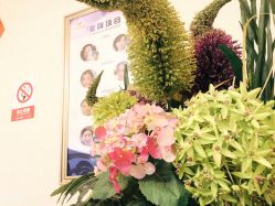 -紫洁俪方（北京）医疗美容