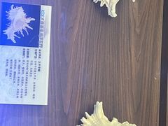 -大连圣亚海洋世界