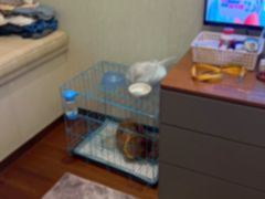 -瑞鹏宠物医院·内科·中兽医·骨科(苗圃店)