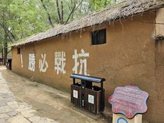 -微山湖红荷湿地景区