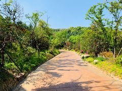 -杭州开元森泊度假乐园