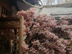 -丽江庭院之爱在路上(西单店)